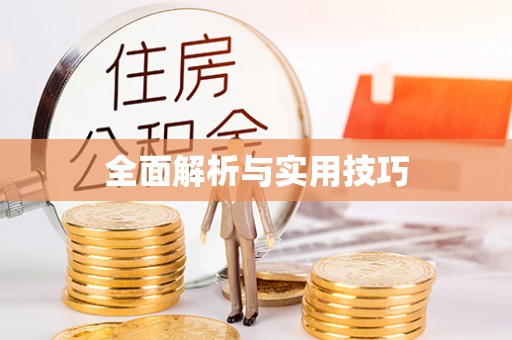 琉球全面解析与实用技巧