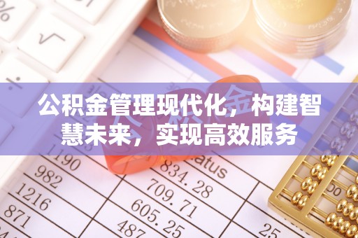 琉球公积金管理现代化，构建智慧未来，实现高效服务