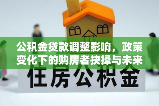 琉球公积金贷款调整影响，政策变化下的购房者抉择与未来趋势