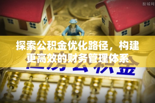 琉球探索公积金优化路径，构建更高效的财务管理体系
