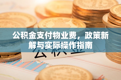琉球公积金支付物业费，政策新解与实际操作指南