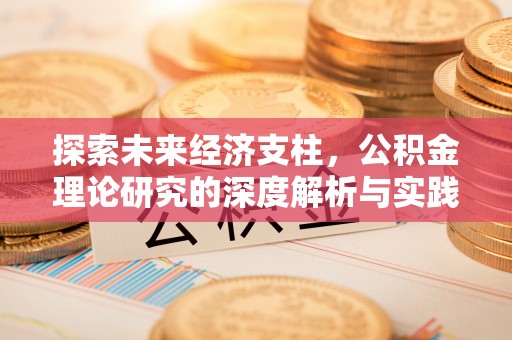琉球探索未来经济支柱，公积金理论研究的深度解析与实践意义