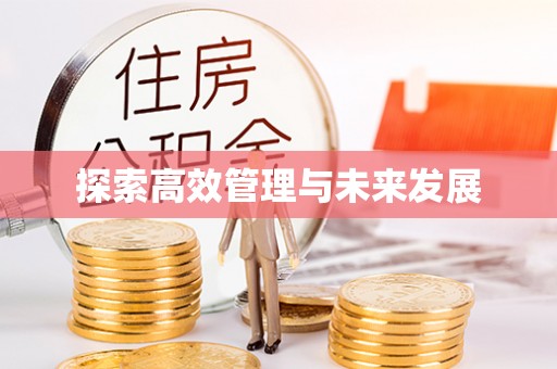 琉球探索高效管理与未来发展