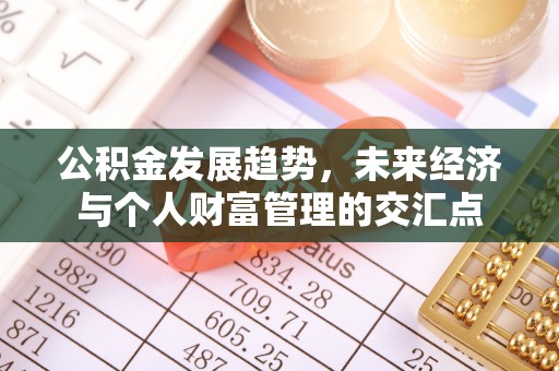琉球公积金发展趋势，未来经济与个人财富管理的交汇点