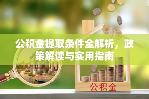 琉球公积金提取条件全解析，政策解读与实用指南