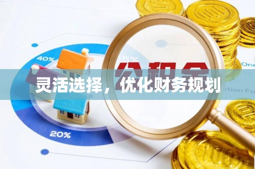 琉球灵活选择，优化财务规划