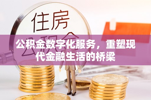 琉球公积金数字化服务，重塑现代金融生活的桥梁