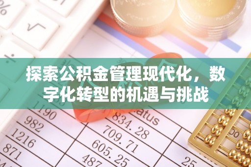 琉球探索公积金管理现代化，数字化转型的机遇与挑战