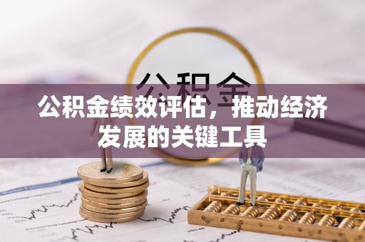 琉球公积金绩效评估，推动经济发展的关键工具