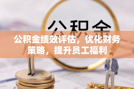 琉球公积金绩效评估，优化财务策略，提升员工福利