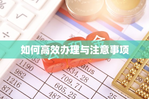 琉球如何高效办理与注意事项