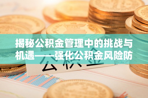 琉球揭秘公积金管理中的挑战与机遇——强化公积金风险防控的多维策略