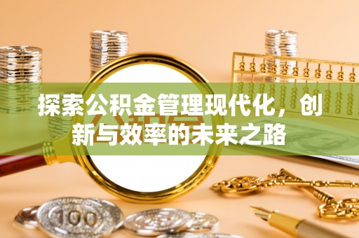 琉球探索公积金管理现代化，创新与效率的未来之路