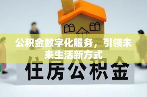 琉球公积金数字化服务，引领未来生活新方式
