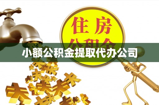 琉球小额公积金提取代办公司