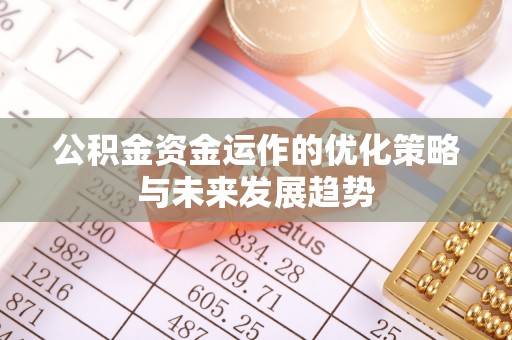 琉球公积金资金运作的优化策略与未来发展趋势