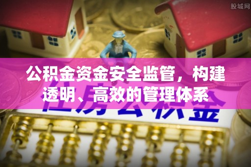 琉球公积金资金安全监管，构建透明、高效的管理体系