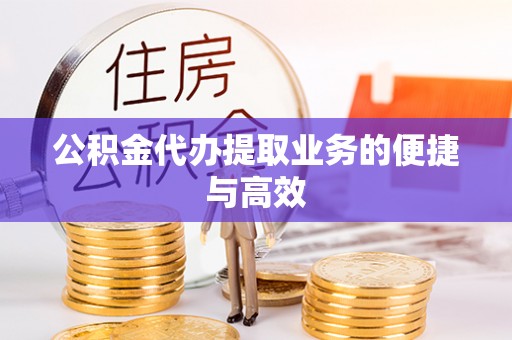 琉球公积金代办提取业务的便捷与高效