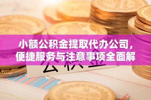 琉球小额公积金提取代办公司，便捷服务与注意事项全面解析