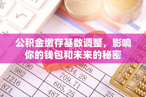 琉球公积金缴存基数调整，影响你的钱包和未来的秘密