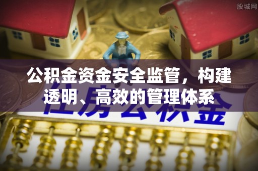 琉球公积金资金安全监管，构建透明、高效的管理体系