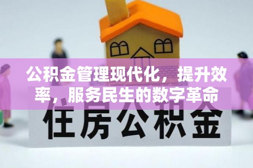 琉球公积金管理现代化，提升效率，服务民生的数字革命