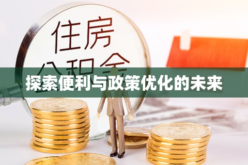 琉球探索便利与政策优化的未来