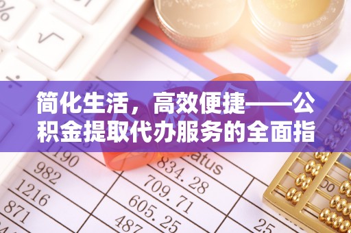琉球简化生活，高效便捷——公积金提取代办服务的全面指南