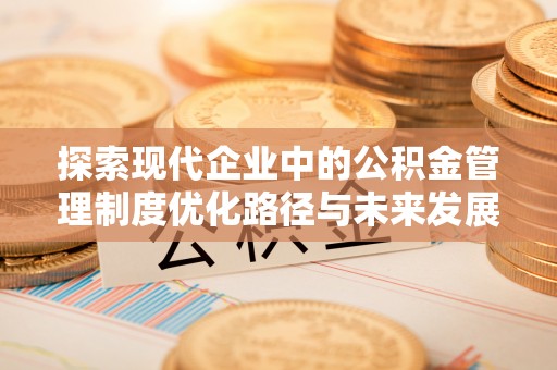 琉球探索现代企业中的公积金管理制度优化路径与未来发展
