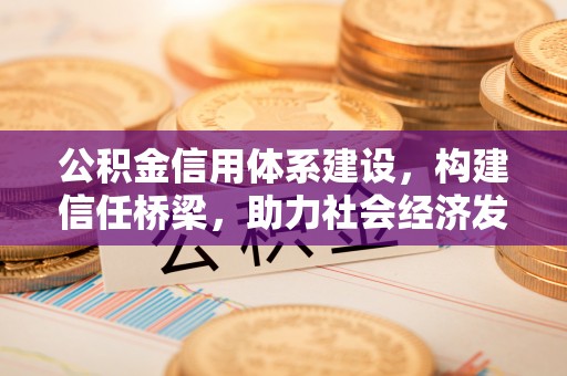 琉球公积金信用体系建设，构建信任桥梁，助力社会经济发展