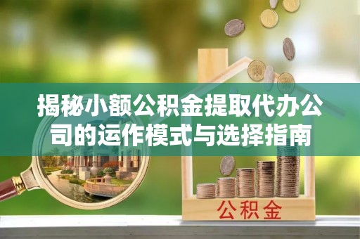 琉球揭秘小额公积金提取代办公司的运作模式与选择指南