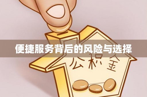 琉球便捷服务背后的风险与选择