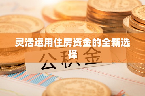 琉球灵活运用住房资金的全新选择