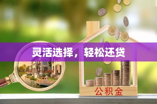 琉球灵活选择，轻松还贷