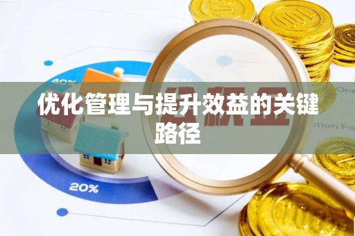 琉球优化管理与提升效益的关键路径
