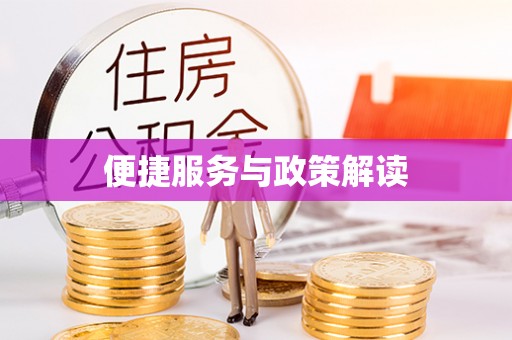 琉球便捷服务与政策解读