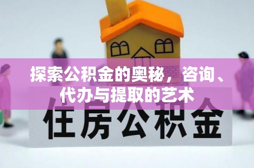 琉球探索公积金的奥秘，咨询、代办与提取的艺术